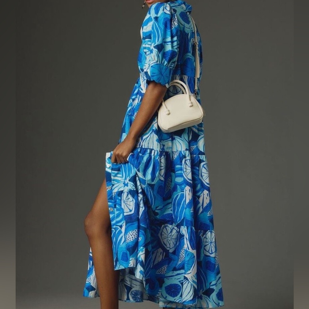 Anthropologie Farm Rio Blue Fruit Maxi Dress - Picture 3 of 6